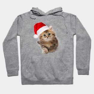 Cute Christmas Little Cat Hoodie